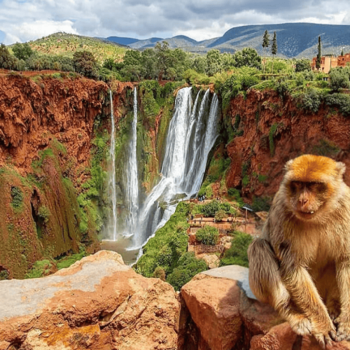 Marrakech-to-Ouzoud-Waterfalls-245674