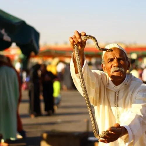 Marrakech_morocco (48)