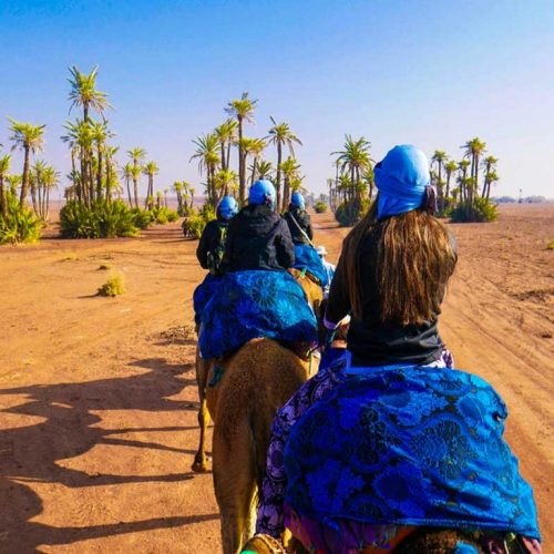 trenking marrakech