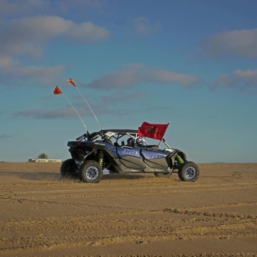 buggy