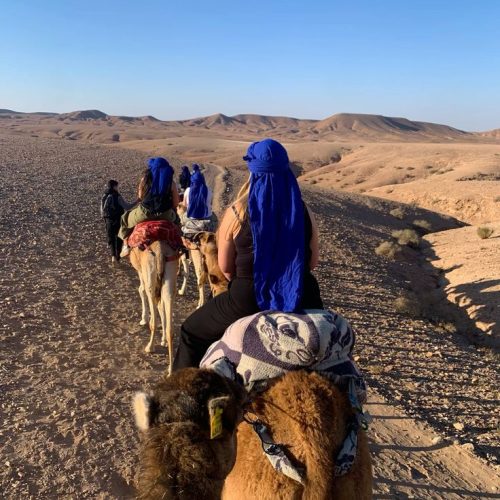 camel ride Agafay 3